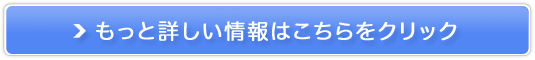 hCc̍yGSW JAPANz̔TCg